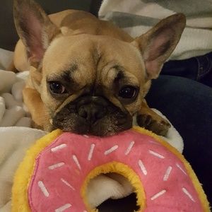 Meet your Posher, Monique